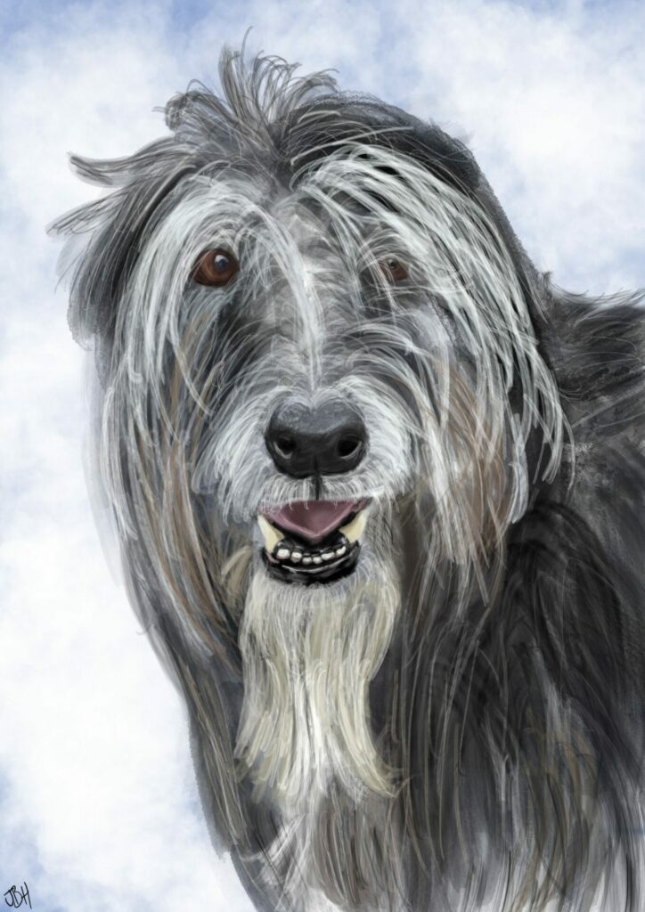 Navigating the Creative Journey: The Challenges of Becoming a Successful Digital Pet Portrait Artist 4 Gyp