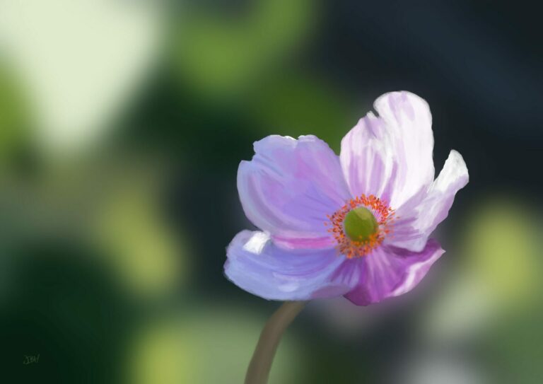 Garden Flower