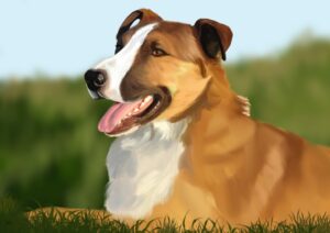 Amos Pet Portrait