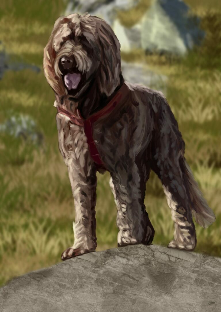 Frankie pet portrait