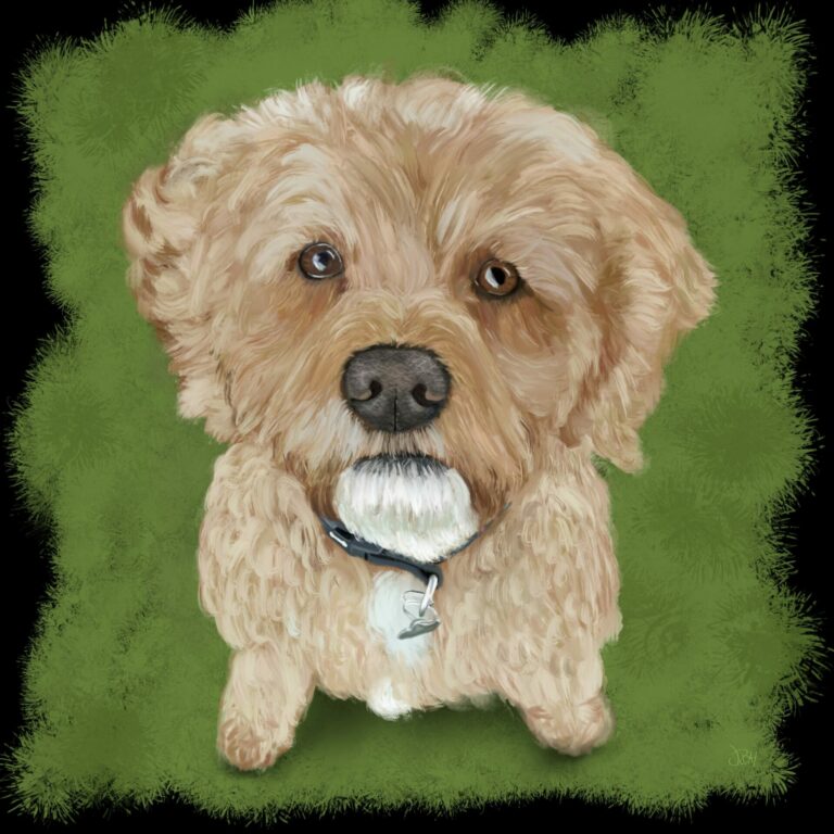 Ginny - Pet Portrait 2