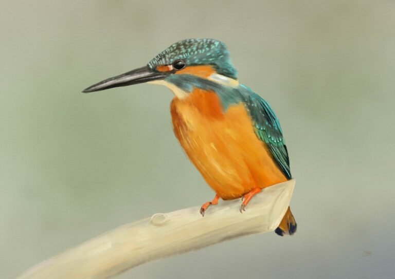 A watercolour painting of a kingfisher