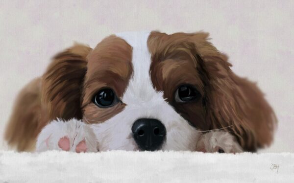The Curious Creative - Pet Portrait Artist - Home 6 Painting on a King Charles pup