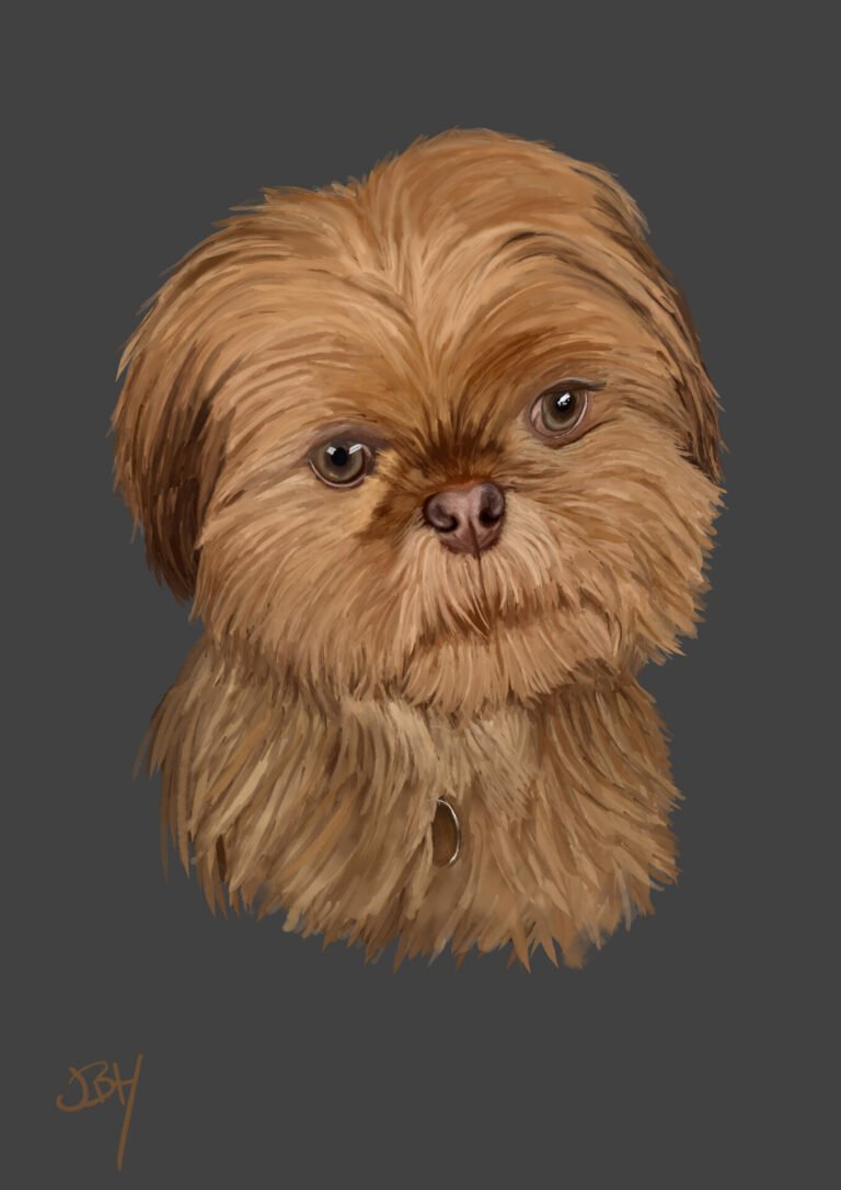 Illustration of a small, fluffy brown dog with expressive eyes and a short snout, set against a dark gray background. The dog's fur showcases a mix of light and dark brown tones, highlighting its playful and affectionate nature.