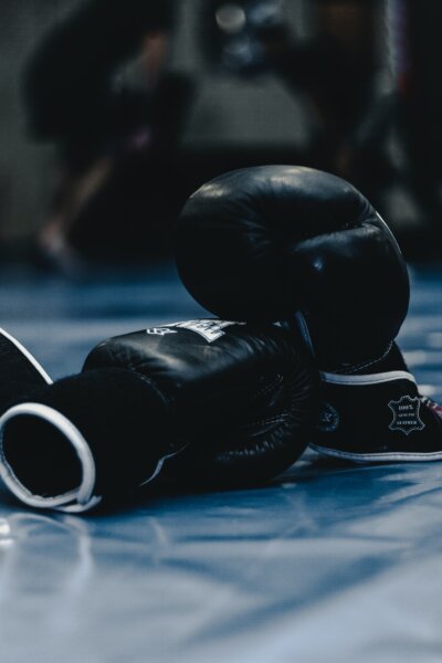 an image of boxing gloves to illustrate the fight to the top digital pet portrait artist - fierce competition - boxing gloves to illustrate a fight to the top