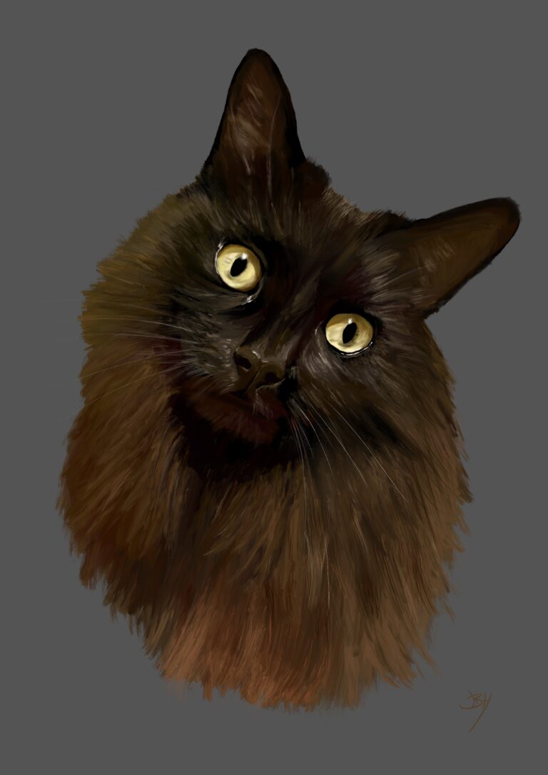 Artistic illustration of a fluffy black cat with striking yellow eyes, set against a gray background. The cat's head is tilted, showcasing its detailed fur texture and facial features, creating an engaging and expressive look. Perfect for cat lovers and art enthusiasts.