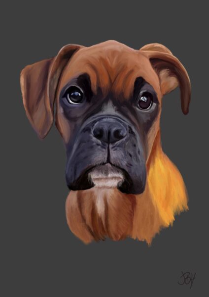 The Curious Creative - Pet Portrait Artist - Home 4 A pet portrait of Ripley the boxer dog