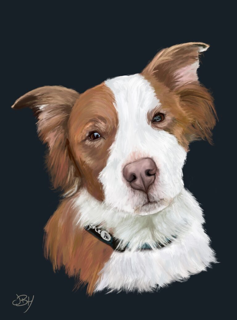A Pet Portrait of Louie the dog